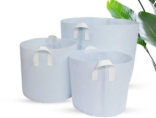 Modifique caliente para requisitos particulares vendiendo el bolso biodegradable de la planta de la tela no tejida que el árbol respirable del flet crece el bolso grande del cuarto de niños del bolso con la manija