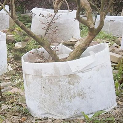 Modifique caliente para requisitos particulares vendiendo el bolso biodegradable de la planta de la tela no tejida que el árbol respirable del flet crece el bolso grande del cuarto de niños del bolso con la manija