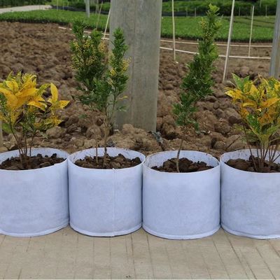 Modifique caliente para requisitos particulares vendiendo el bolso biodegradable de la planta de la tela no tejida que el árbol respirable del flet crece el bolso grande del cuarto de niños del bolso con la manija