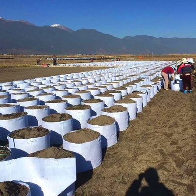 Modifique caliente para requisitos particulares vendiendo el bolso biodegradable de la planta de la tela no tejida que el árbol respirable del flet crece el bolso grande del cuarto de niños del bolso con la manija