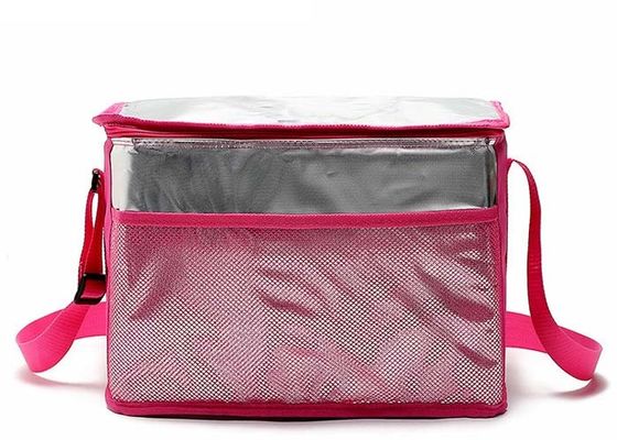 Señoras aisladas de nylon de Tote Lunch Bag For Women que dan muchachas